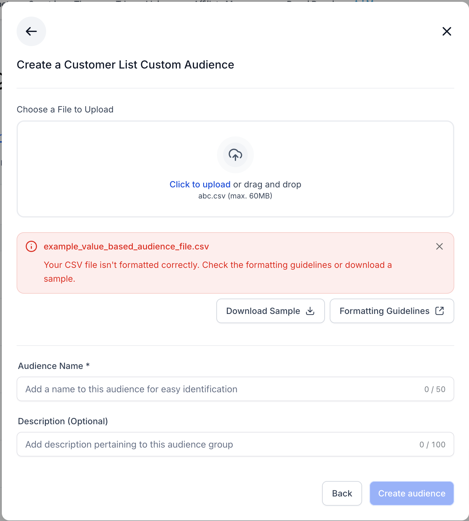 Custom Audience Summary View
